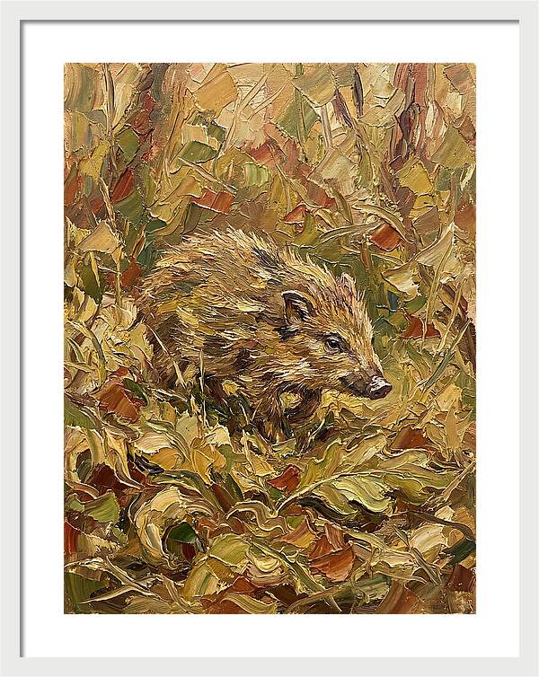 Pygmy Hog In Autumn Foliage