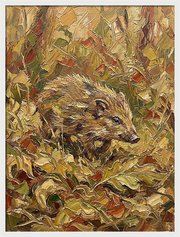 Pygmy Hog In Autumn Foliage