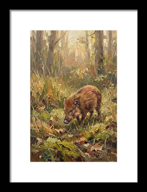 Pygmy Hog In The Forest