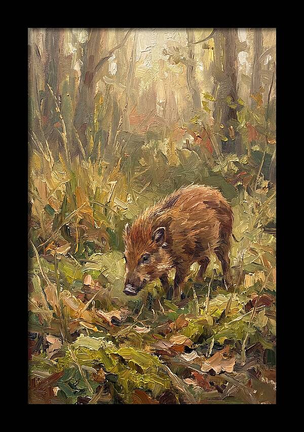 Pygmy Hog In The Forest
