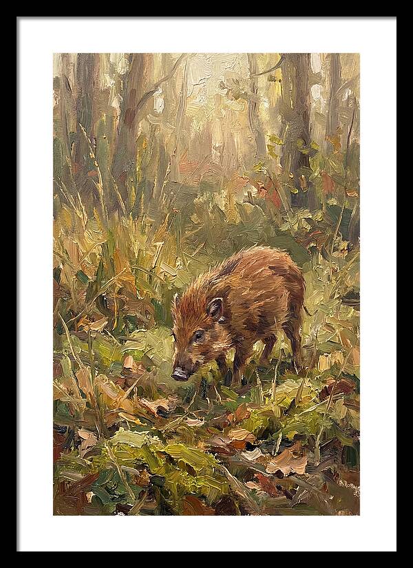 Pygmy Hog In The Forest