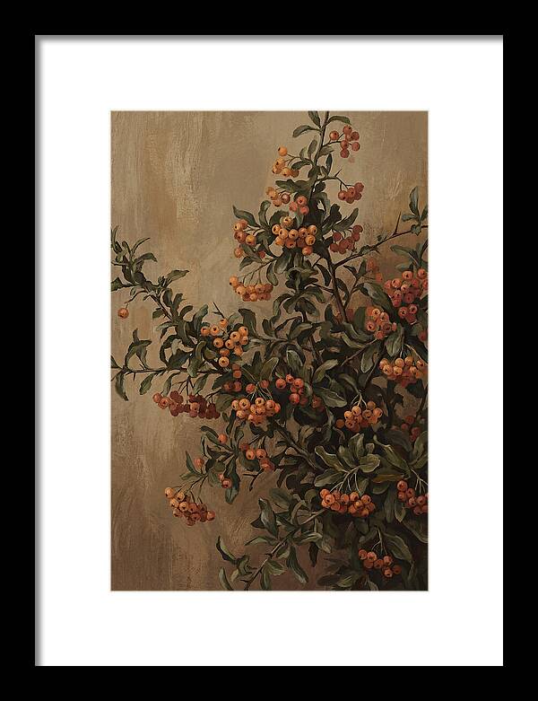 Pyracantha Firethorn Abundance