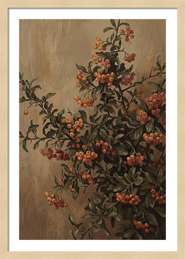 Pyracantha Firethorn Abundance