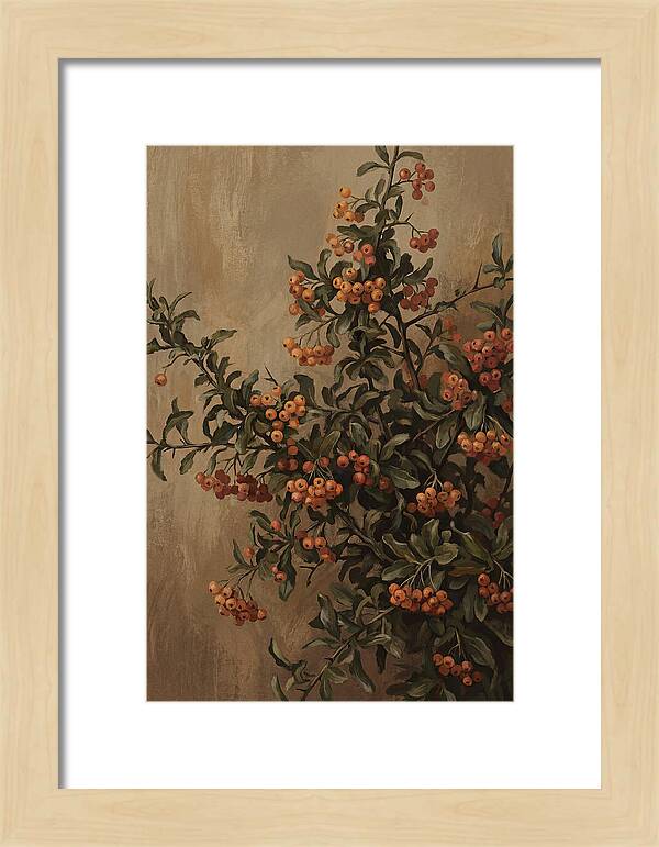 Pyracantha Firethorn Abundance