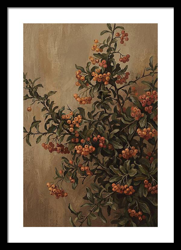 Pyracantha Firethorn Abundance