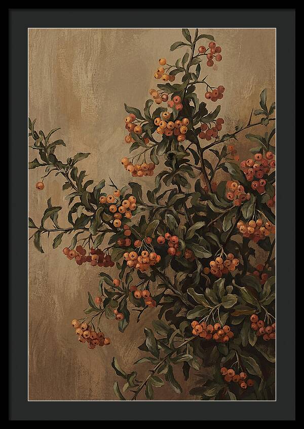 Pyracantha Firethorn Abundance