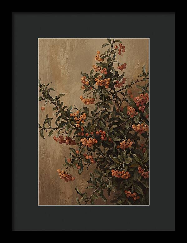 Pyracantha Firethorn Abundance