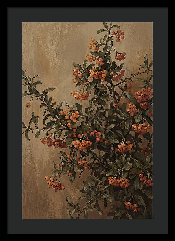 Pyracantha Firethorn Abundance