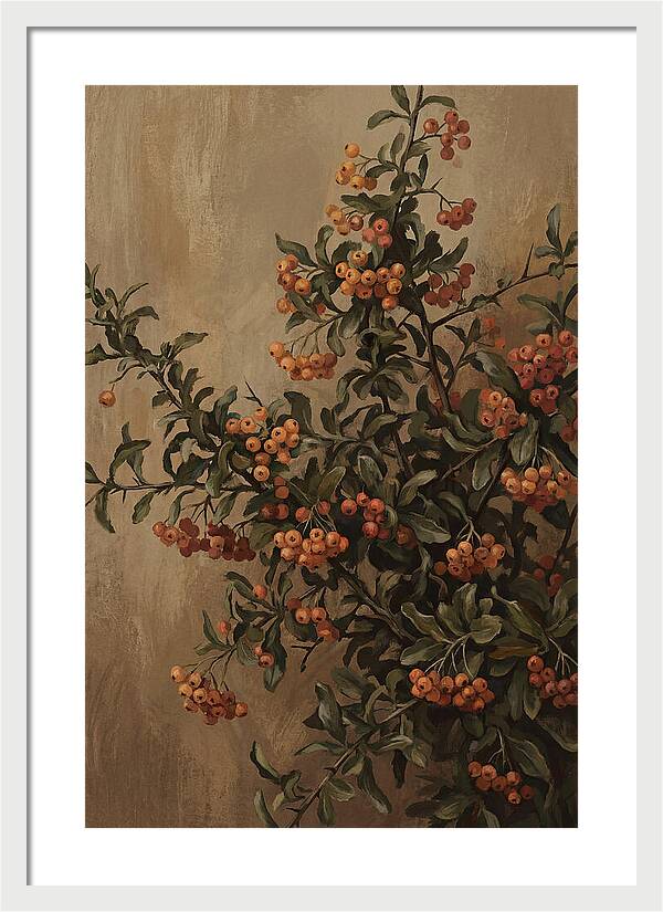 Pyracantha Firethorn Abundance