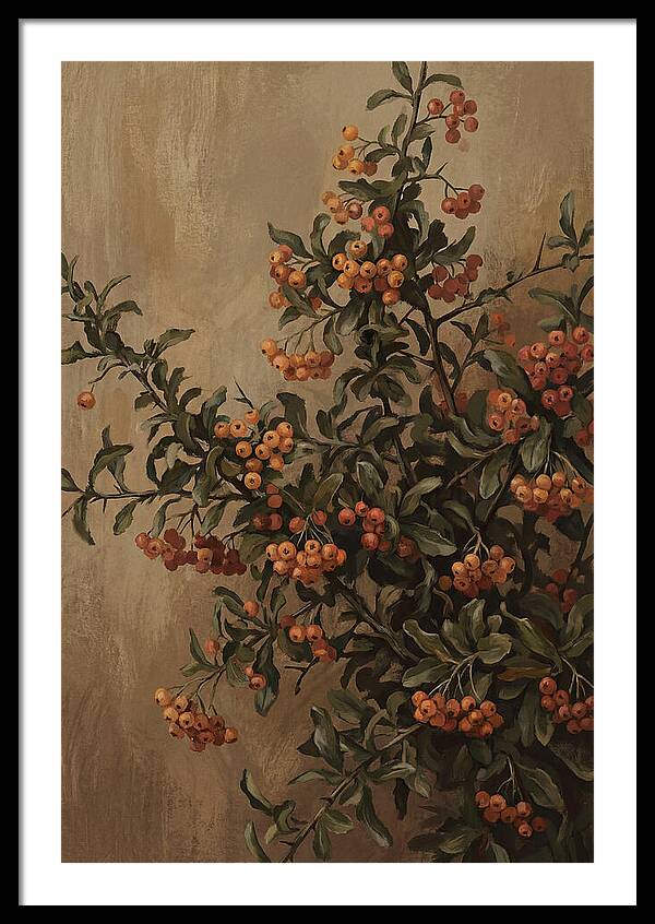 Pyracantha Firethorn Abundance