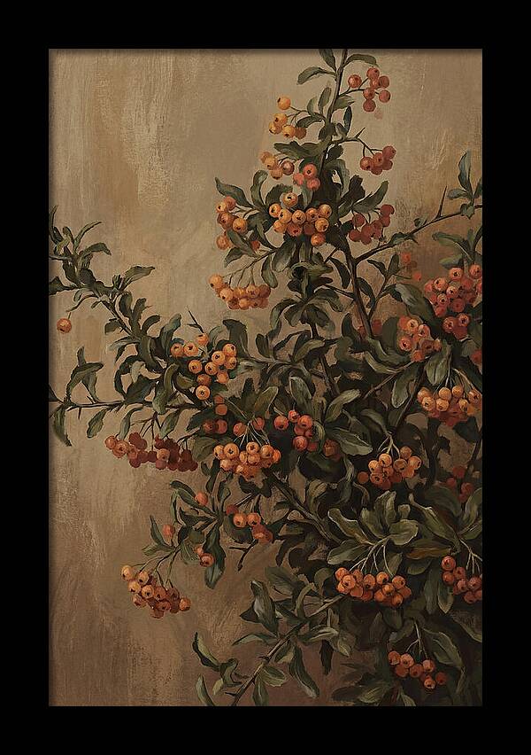 Pyracantha Firethorn Abundance