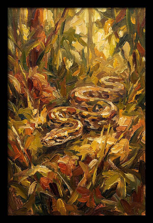 Python Among Lush Foliage