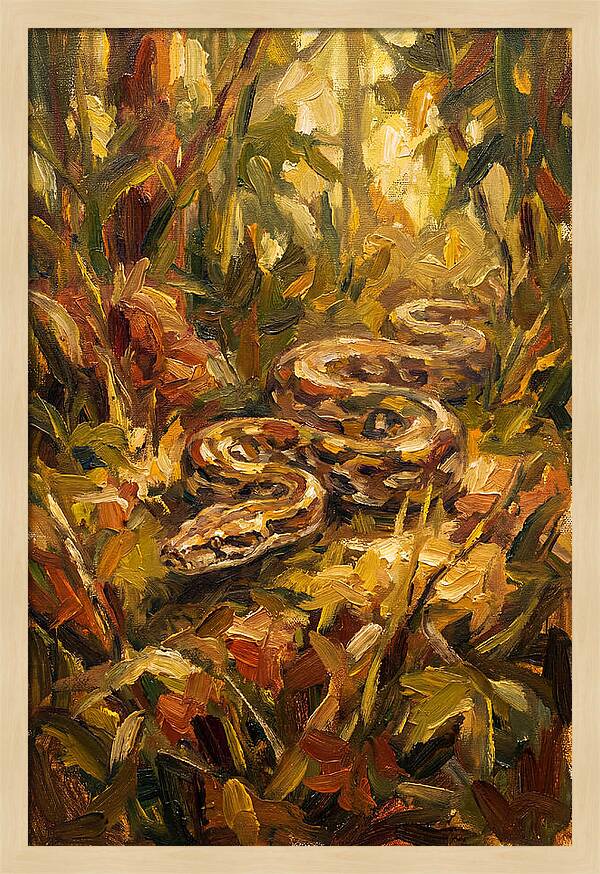 Python Among Lush Foliage
