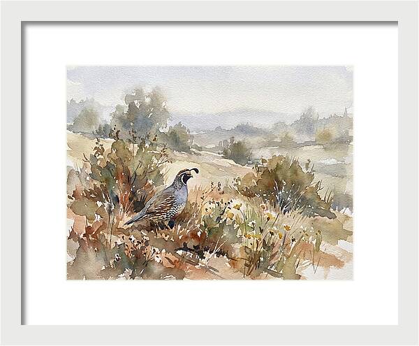 Quail In Serene Landscape