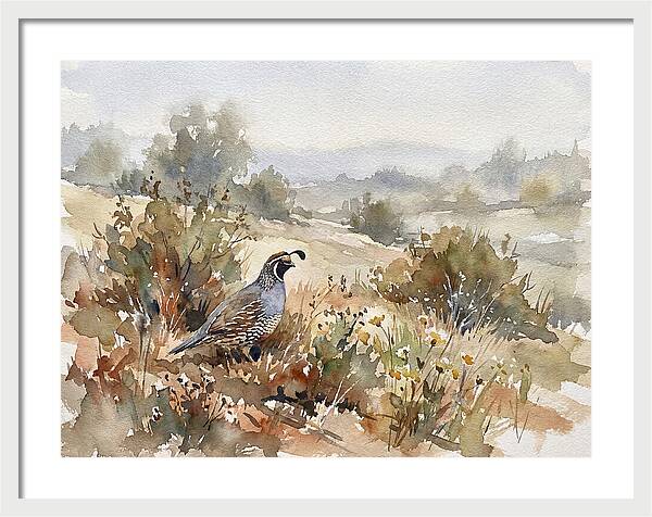 Quail In Serene Landscape