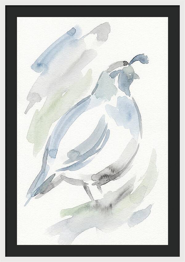 Quail In Soft Watercolors