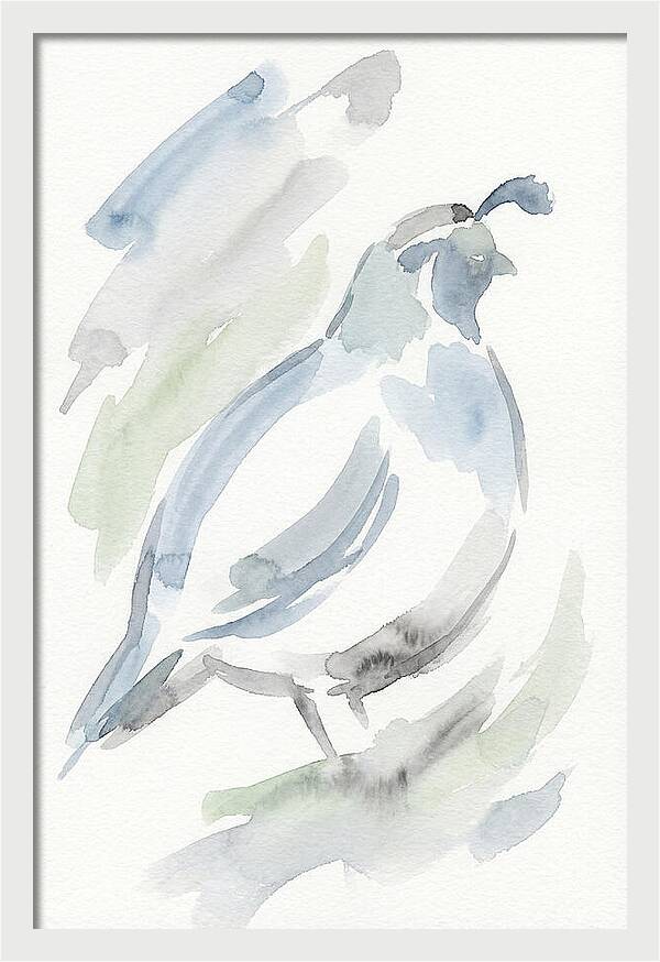 Quail In Soft Watercolors