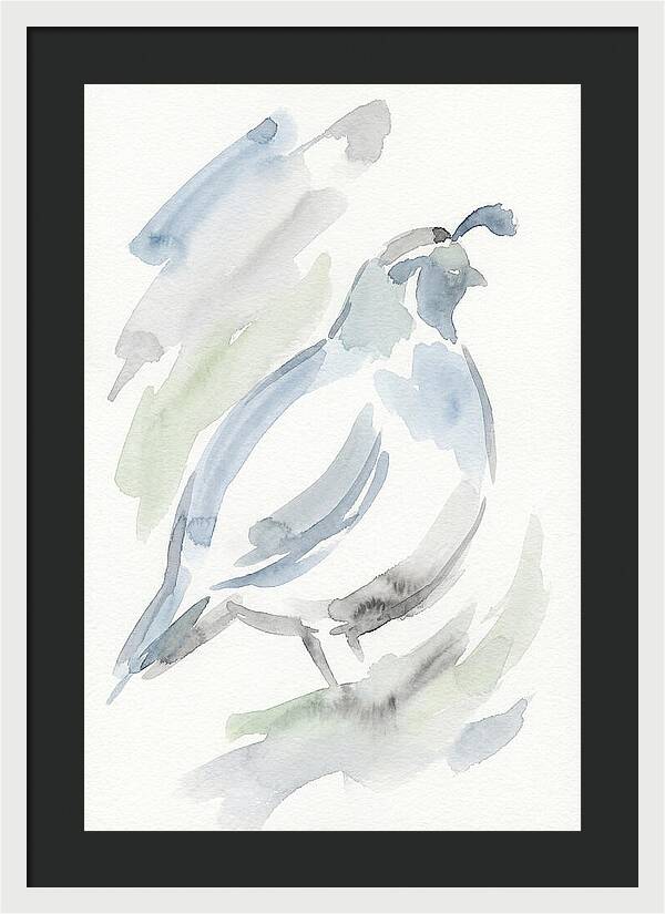Quail In Soft Watercolors