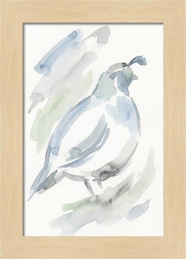 Quail In Soft Watercolors
