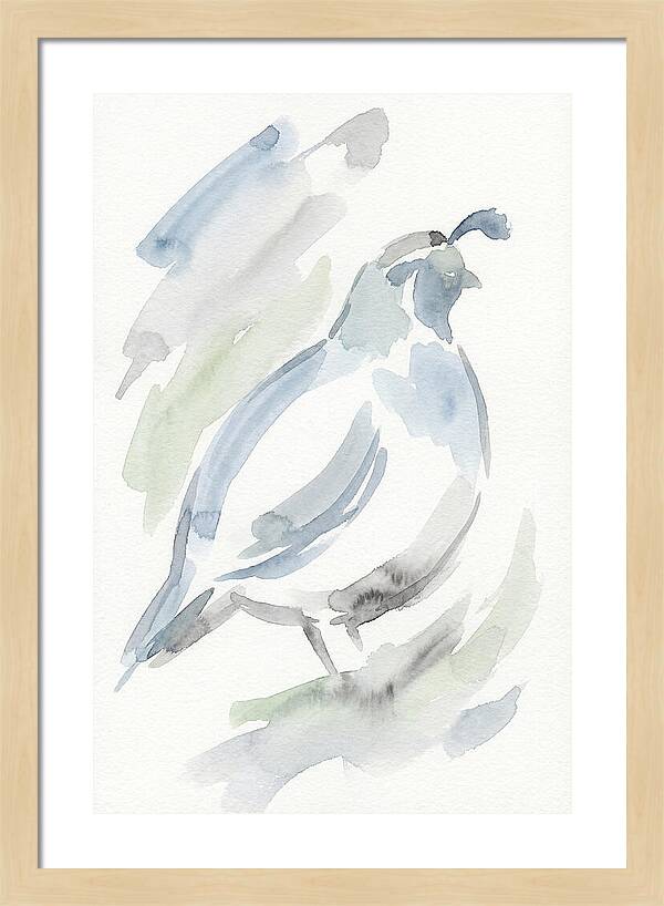 Quail In Soft Watercolors