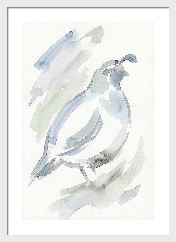 Quail In Soft Watercolors