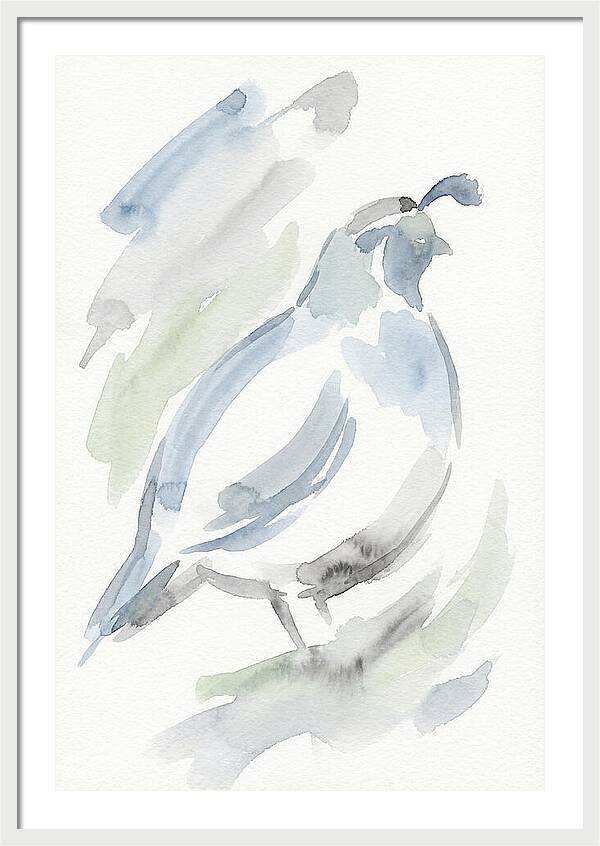 Quail In Soft Watercolors