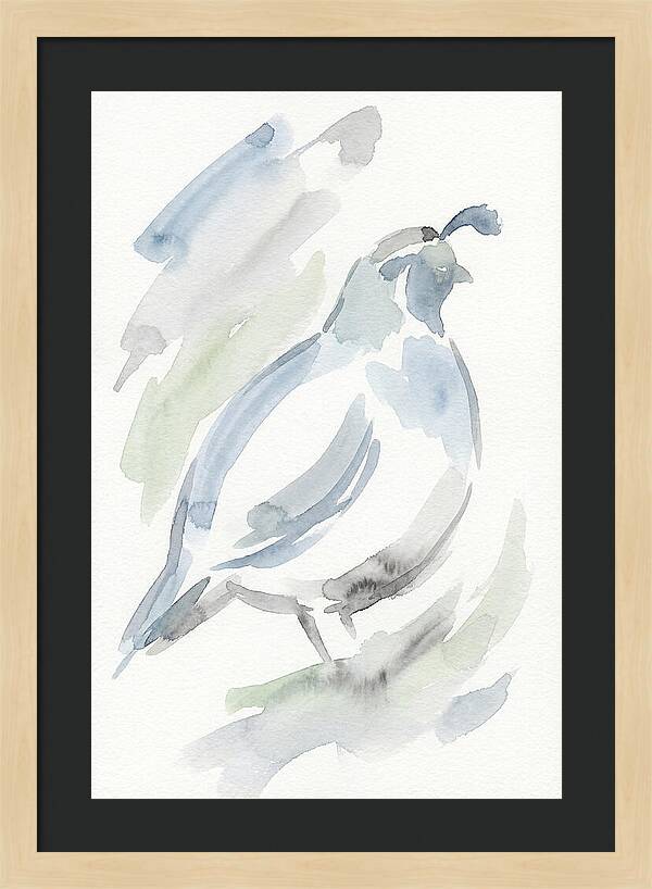 Quail In Soft Watercolors