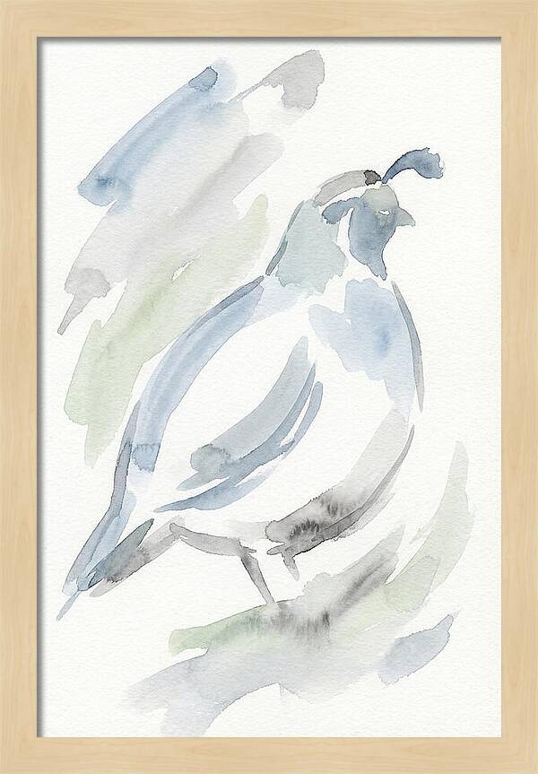 Quail In Soft Watercolors
