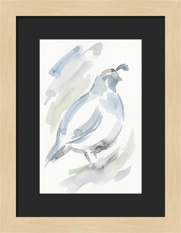 Quail In Soft Watercolors