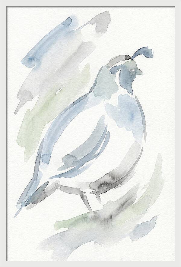 Quail In Soft Watercolors