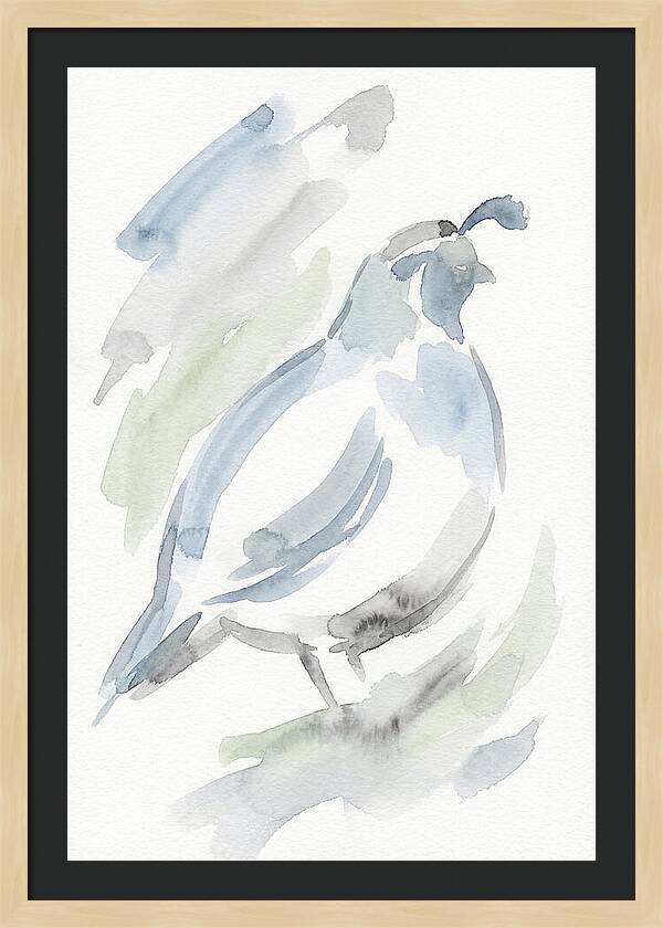 Quail In Soft Watercolors