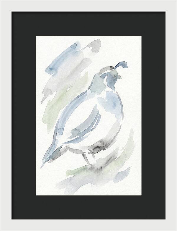 Quail In Soft Watercolors
