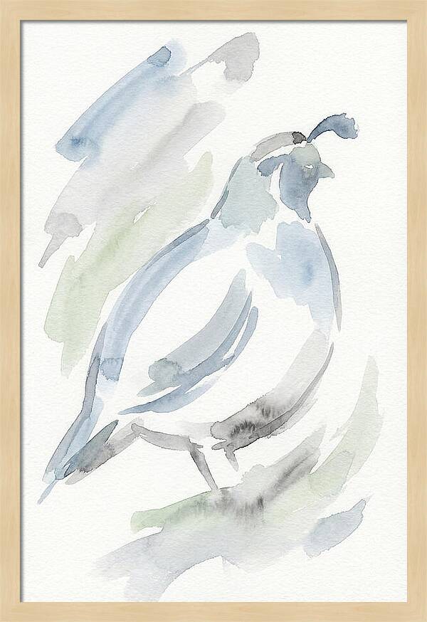 Quail In Soft Watercolors