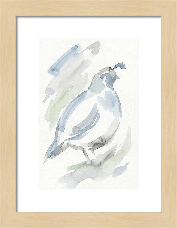 Quail In Soft Watercolors