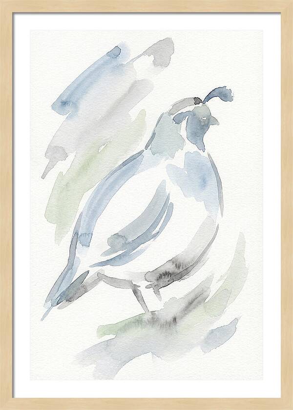 Quail In Soft Watercolors