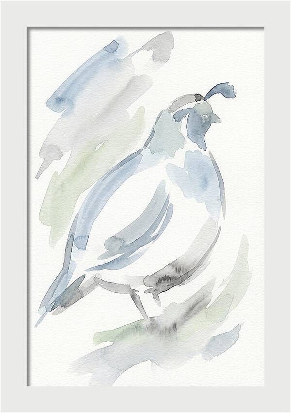 Quail In Soft Watercolors
