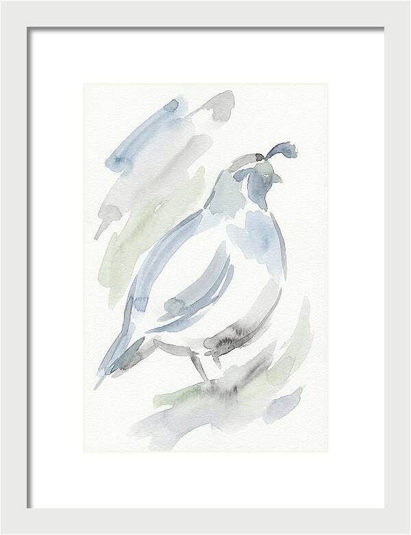 Quail In Soft Watercolors