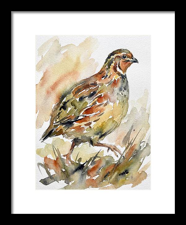 Quail In Watercolor Harmony
