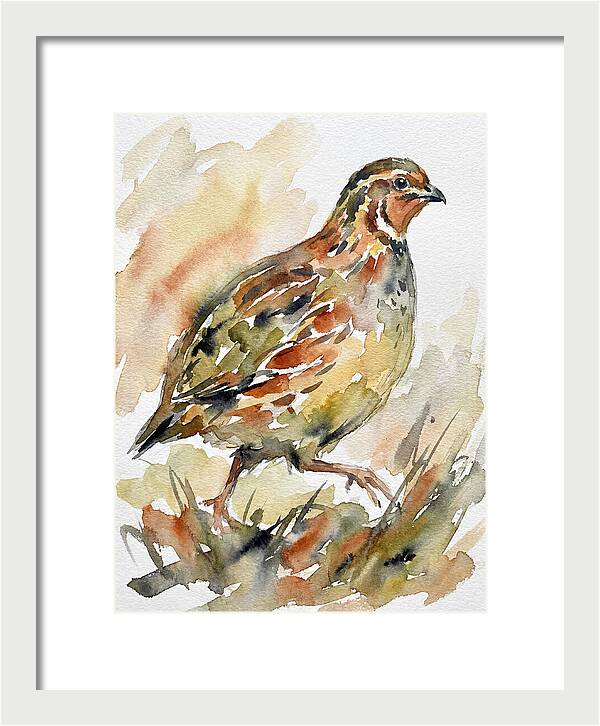 Quail In Watercolor Harmony