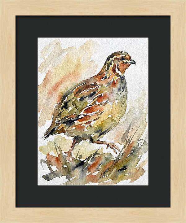Quail In Watercolor Harmony