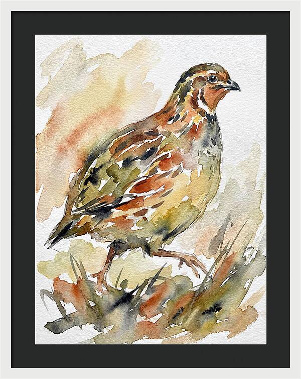 Quail In Watercolor Harmony