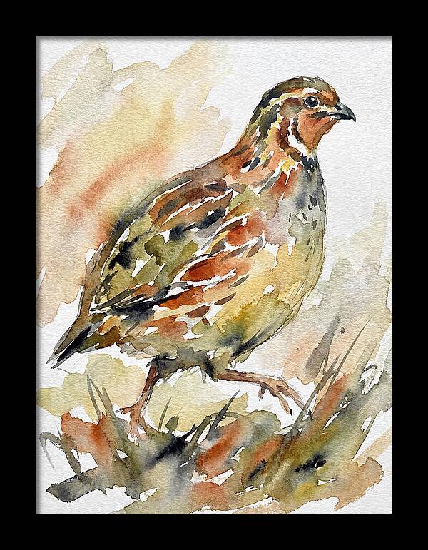 Quail In Watercolor Harmony