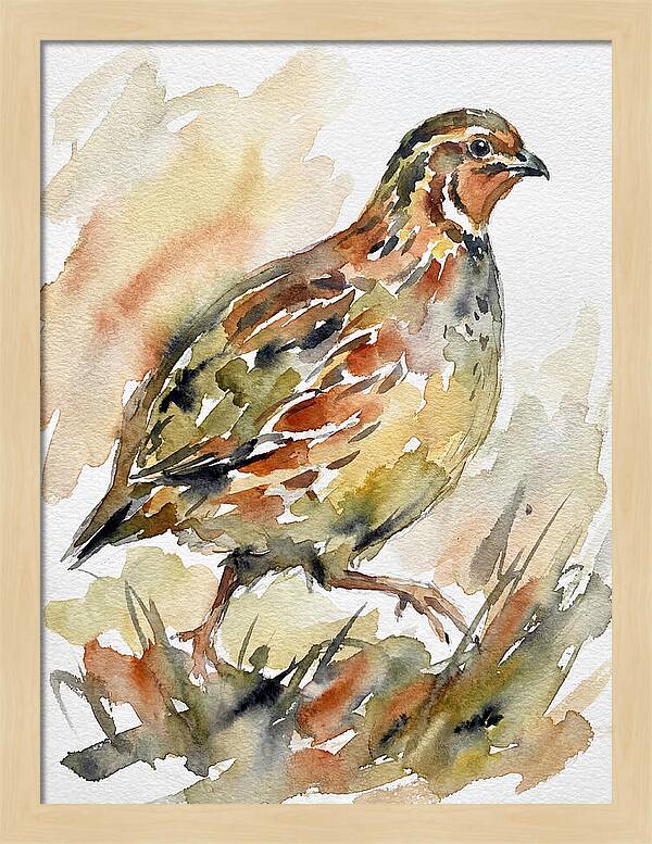 Quail In Watercolor Harmony