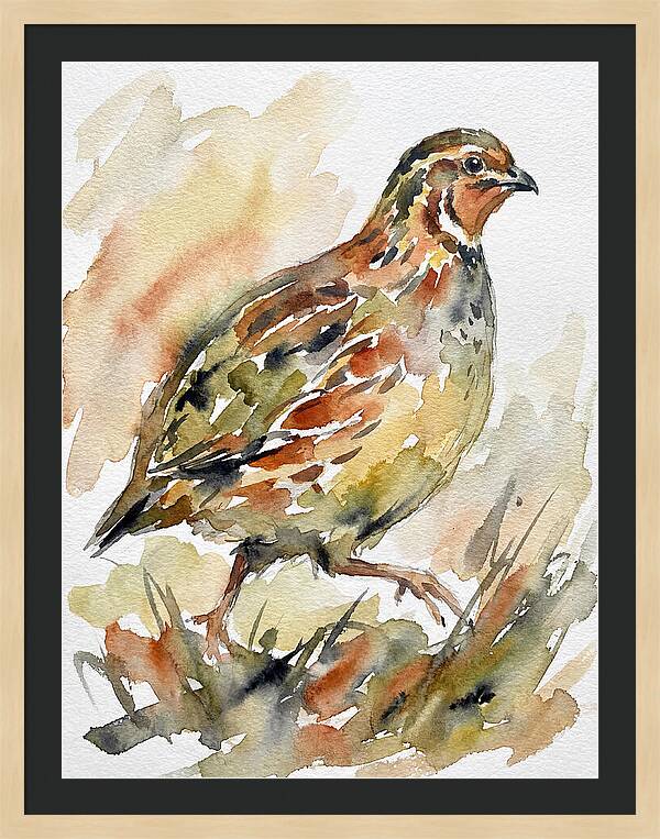 Quail In Watercolor Harmony