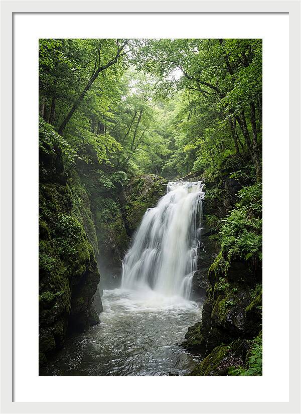 Quechee Gorge Waterfall Serenity