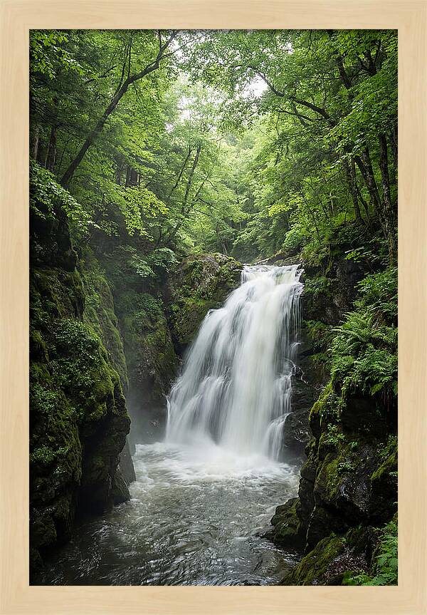 Quechee Gorge Waterfall Serenity