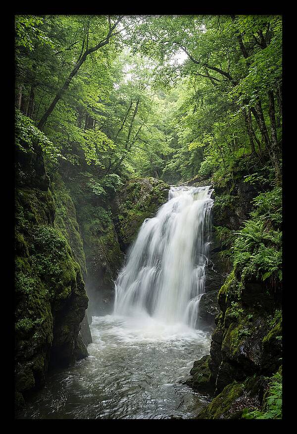 Quechee Gorge Waterfall Serenity