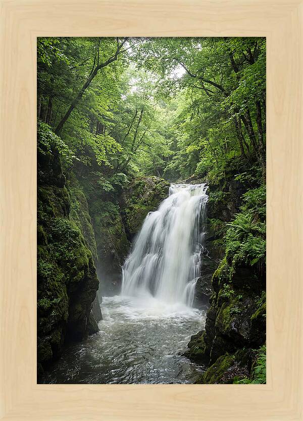 Quechee Gorge Waterfall Serenity