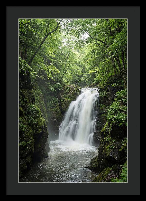 Quechee Gorge Waterfall Serenity