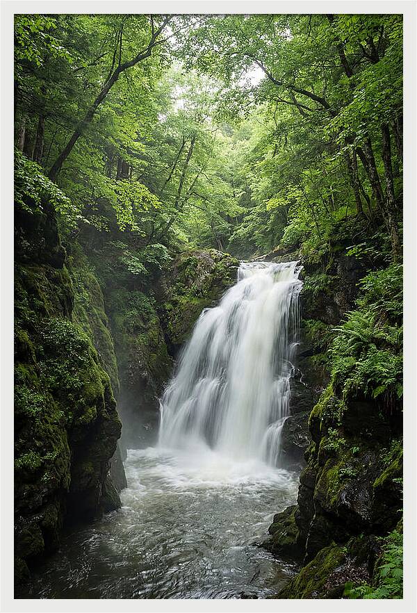 Quechee Gorge Waterfall Serenity